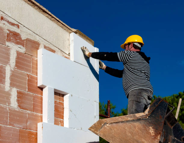 Best Specialized Insulation Services in Romeo, MI